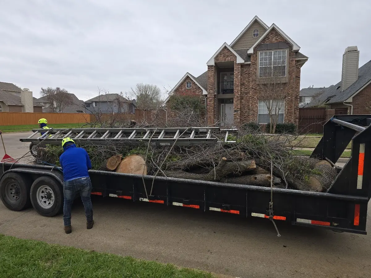 Expert Tree Fertilization with proper safety equipment in Harper Woods